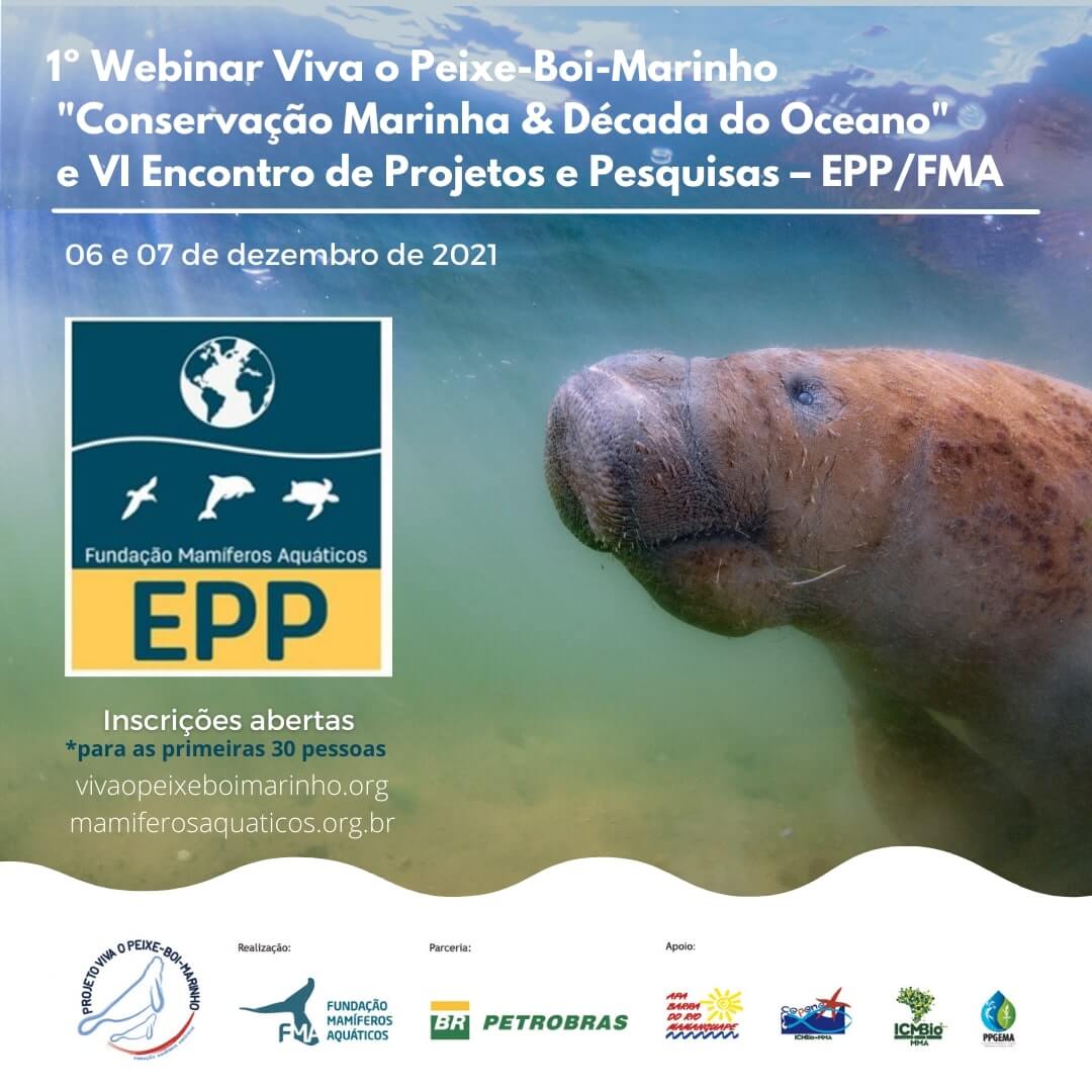 Imagem de Vêm aí o primeiro Webinar do Projeto Viva o Peixe-Boi-Marinho e o VI Encontro de Projetos e Pesquisas da Fundação Mamíferos Aquáticos
