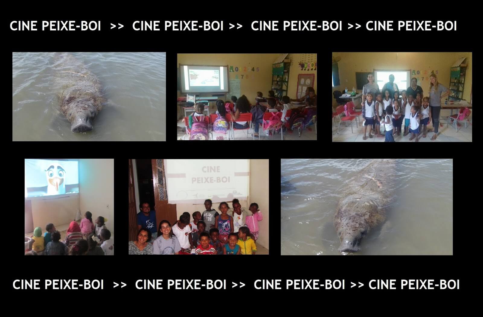 Imagem de Cine Peixe-Boi chega a Sergipe e à Bahia