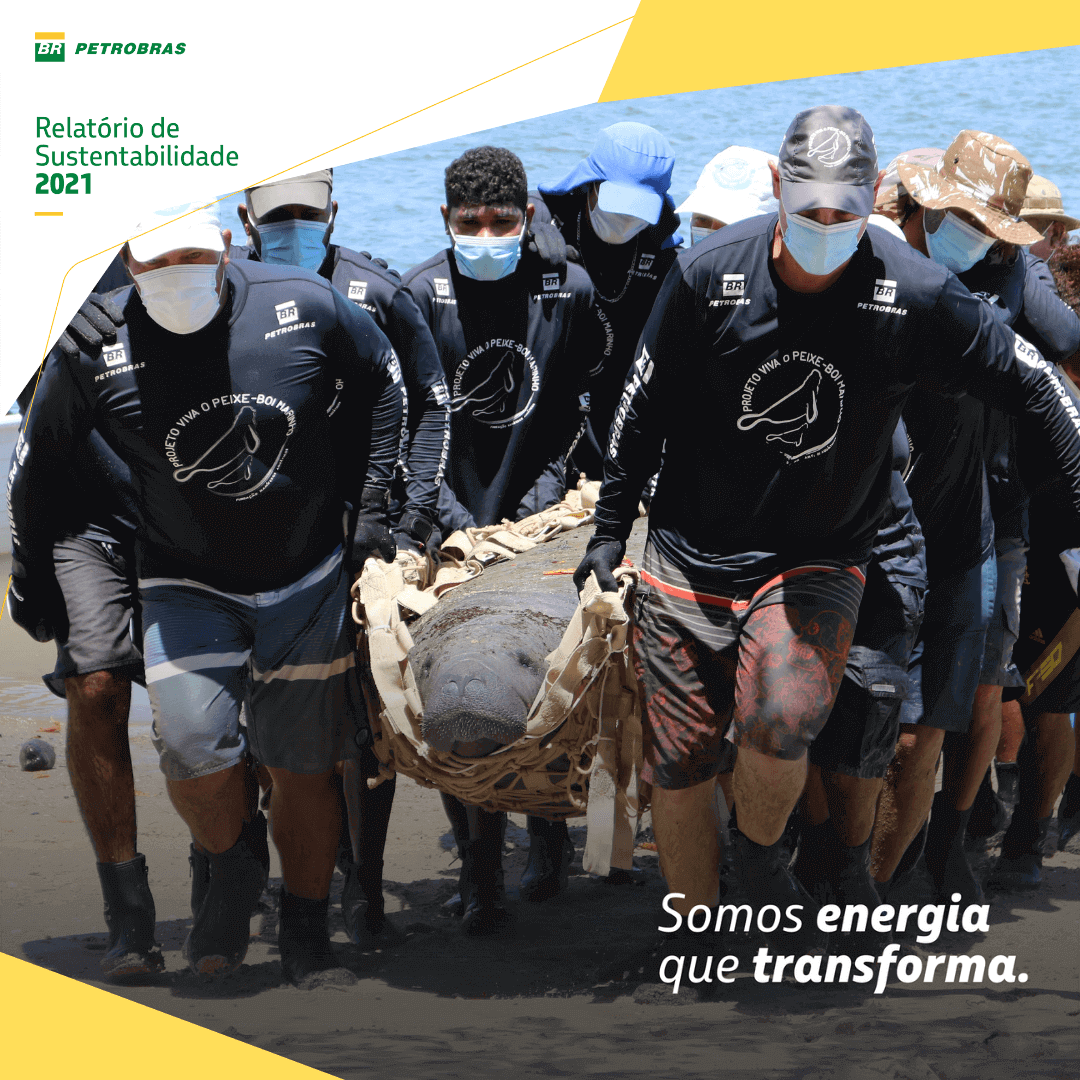 Imagem de Petrobras publica Relatório de Sustentabilidade e a conservação dos peixes-bois-marinhos está entre os resultados positivos alcançados