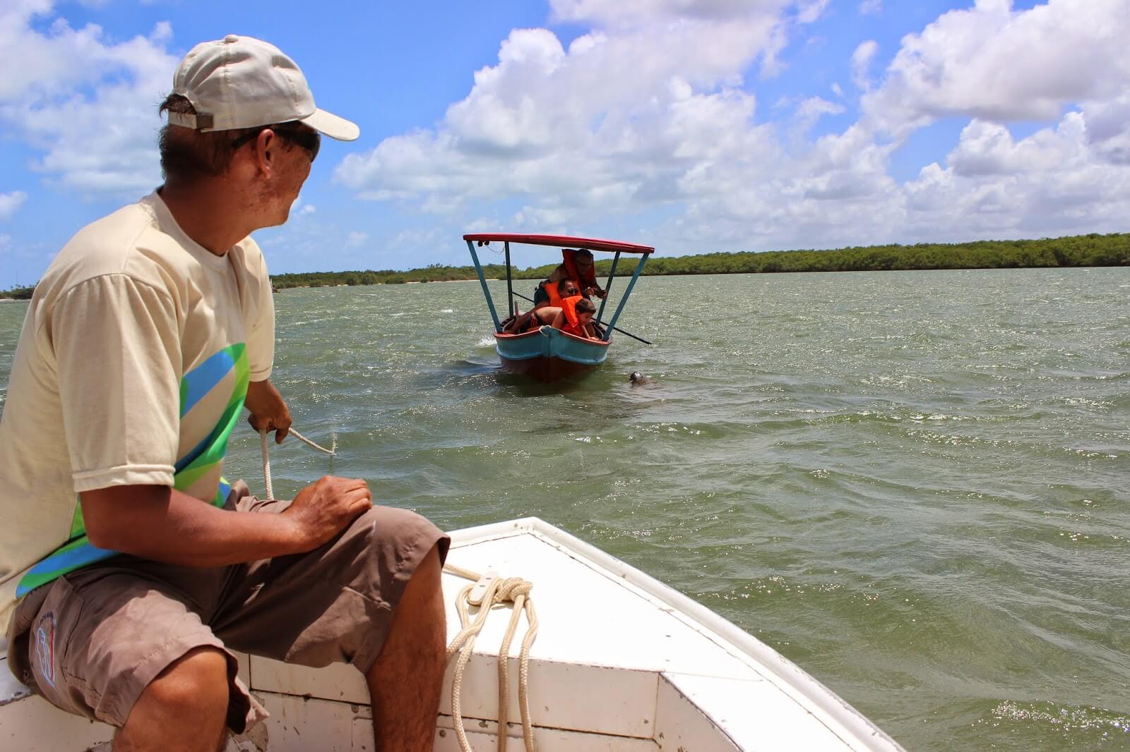 Imagem 4 de Fundação Mamíferos Aquáticos utiliza tecnologia de sonar para pesquisar população do peixe-boi marinho na Paraíba