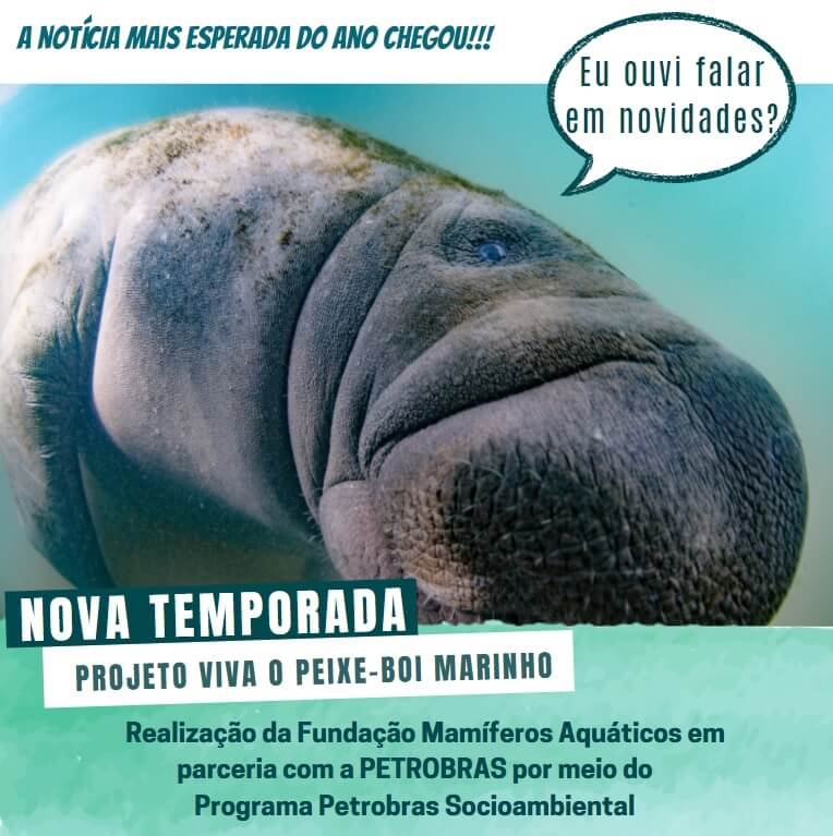 Projeto Viva o Peixe-Boi-Marinho contará com a parceria da Petrobras para realizar ações em prol da conservação da espécie no Nordeste do Brasil