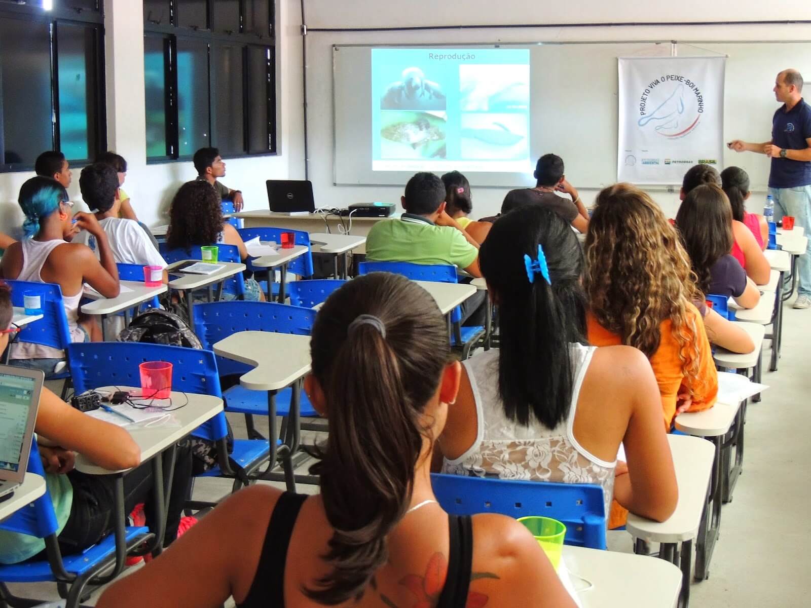 Imagem de Ecologia e conservação do peixe-boi marinho é tema de minicurso na Paraíba