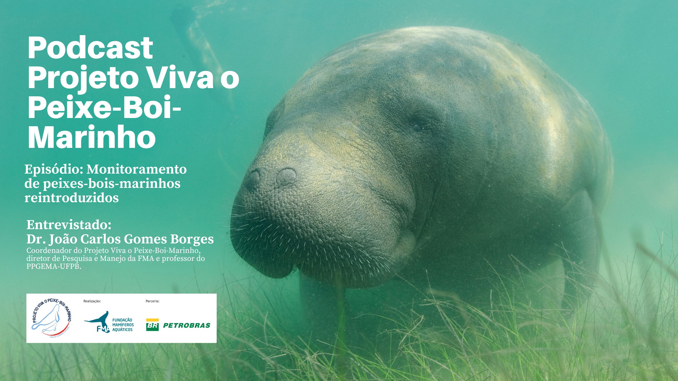 capa de Podcast Projeto Viva o Peixe-Boi-Marinho: Ep7 - Monitoramento de peixes-bois-marinhos reintroduzidos