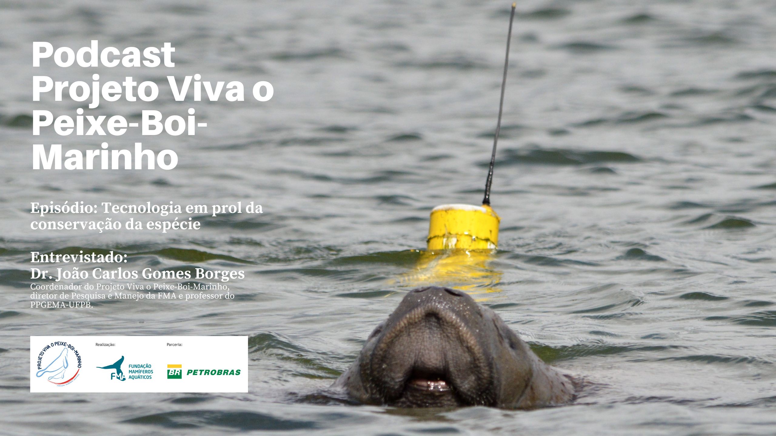 capa de Podcast Projeto Viva o Peixe-Boi-Marinho: Ep 6 - Tecnologia em prol da conservação da espécie
