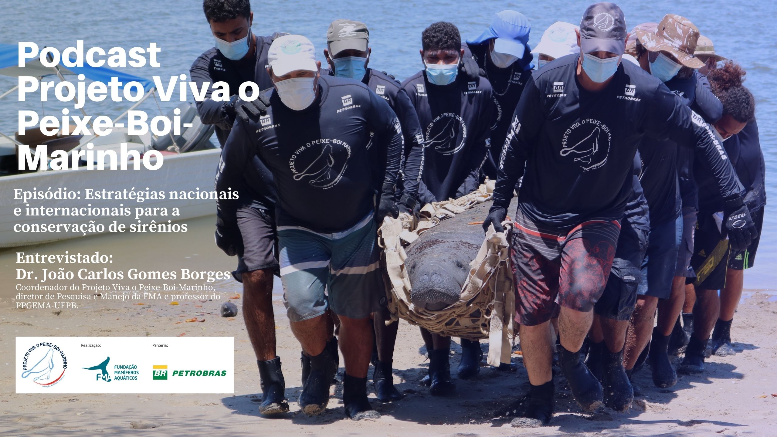 capa de Podcast Projeto Viva o Peixe-Boi-Marinho: Ep 8 - Estratégias nacionais e internacionais para a conservação de sirênios