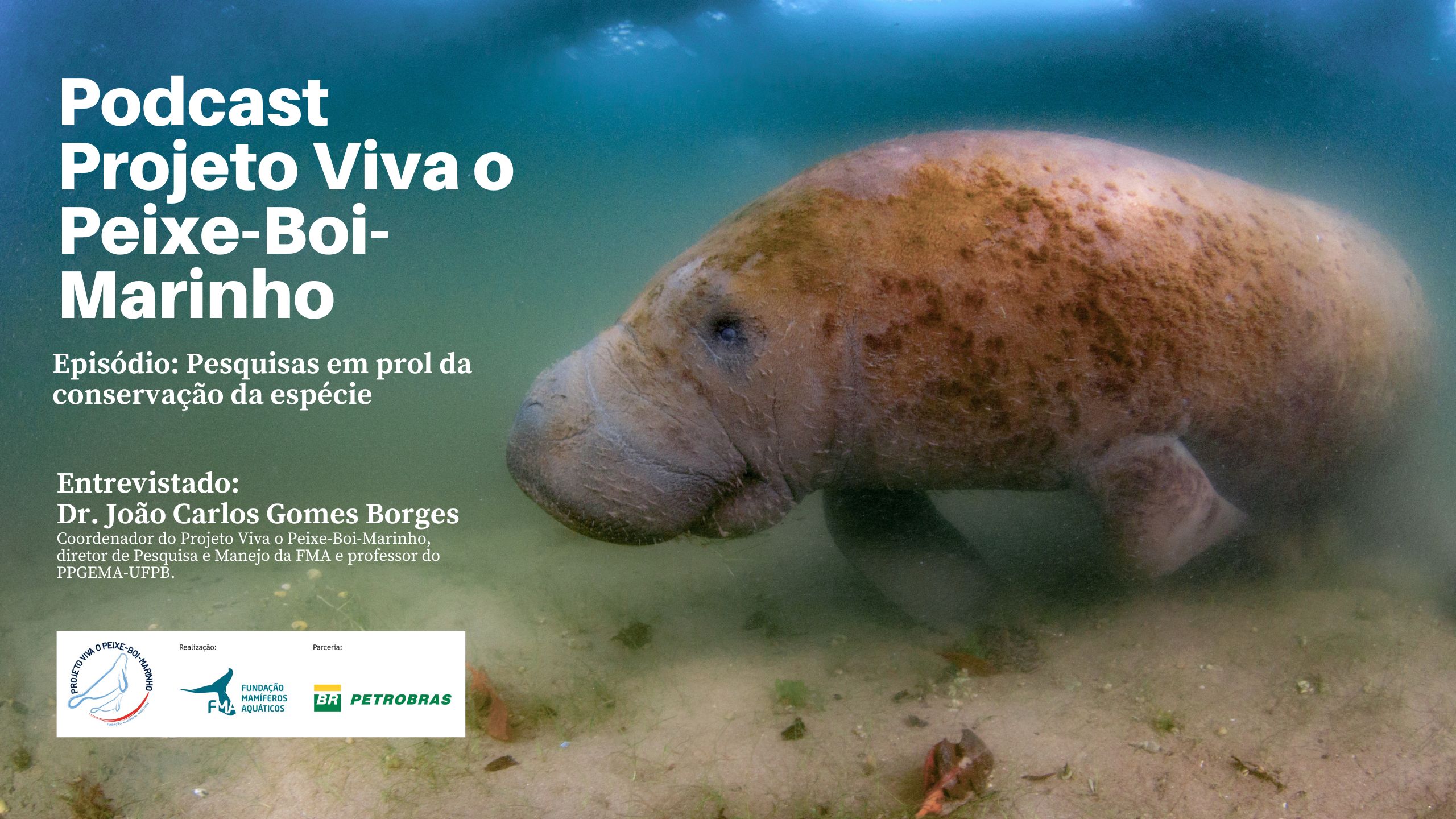 capa de Podcast Projeto Viva o Peixe-Boi-Marinho: Ep 9 - Pesquisas em prol da conservação da espécie