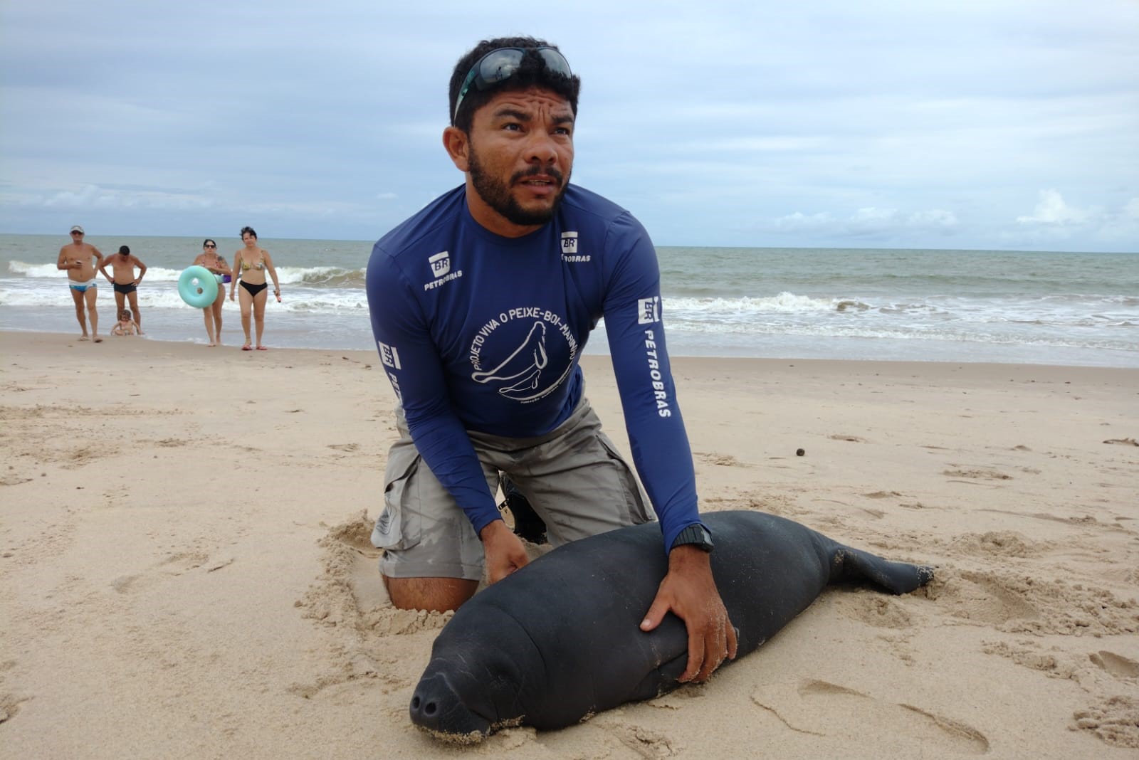 Imagem 2 de Filhote de peixe-boi-marinho é resgatado no litoral sul da Paraíba