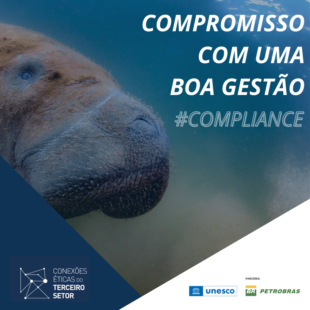 Imagem 3 de Viva o Peixe-Boi-Marinho participa do Projeto Conexões Éticas