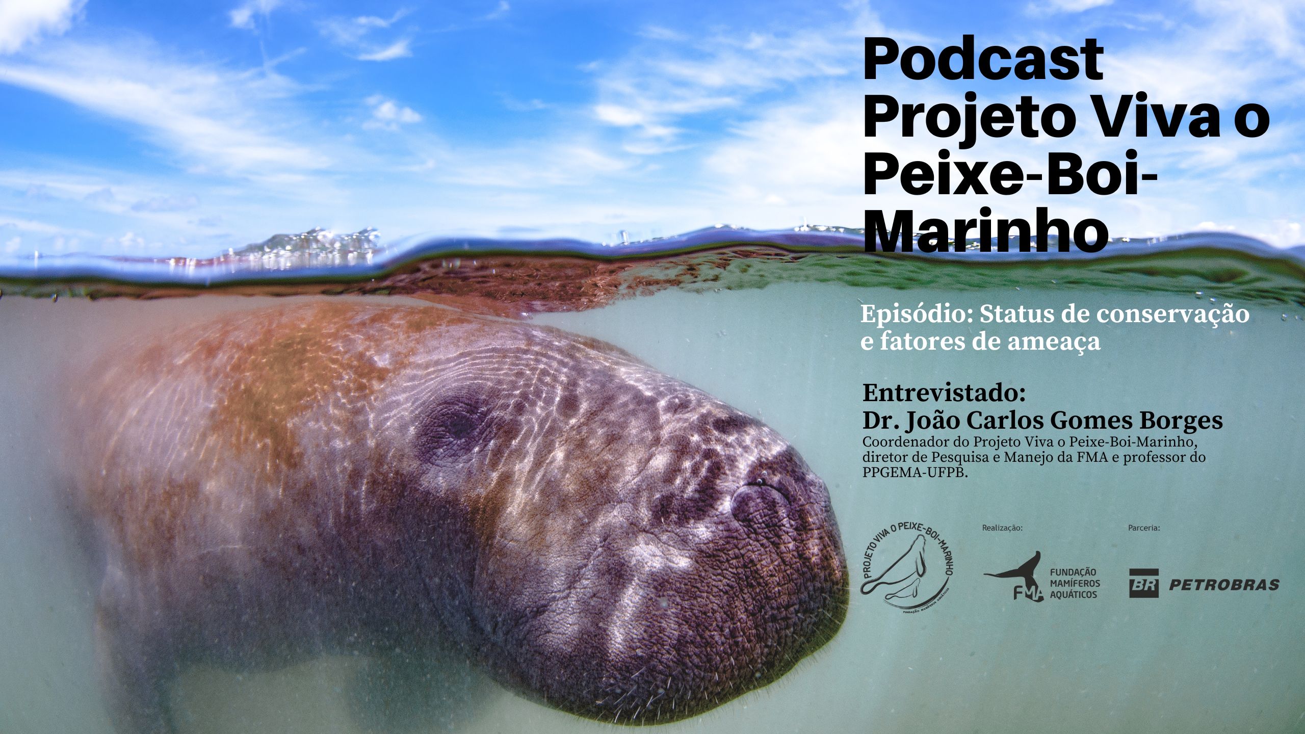 capa de Podcast Viva o Peixe-Boi-Marinho: Episódio 2 - Status de conservação e fatores de ameaça