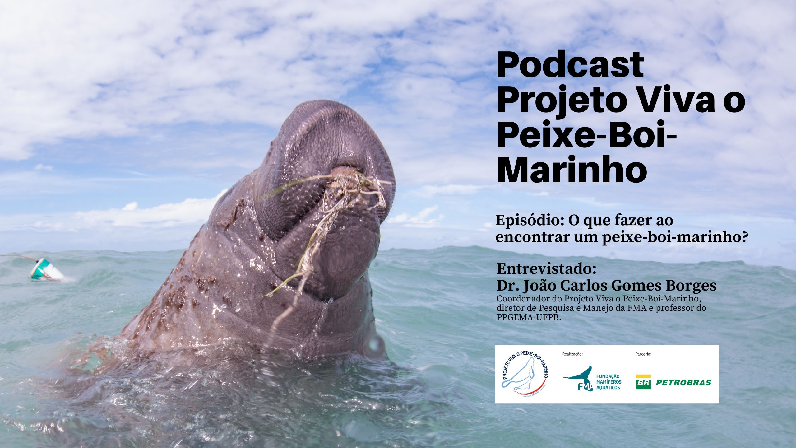 capa de Podcast Viva o Peixe-Boi-Marinho: Episódio 3 - O que fazer ao encontrar um peixe-boi-marinho?