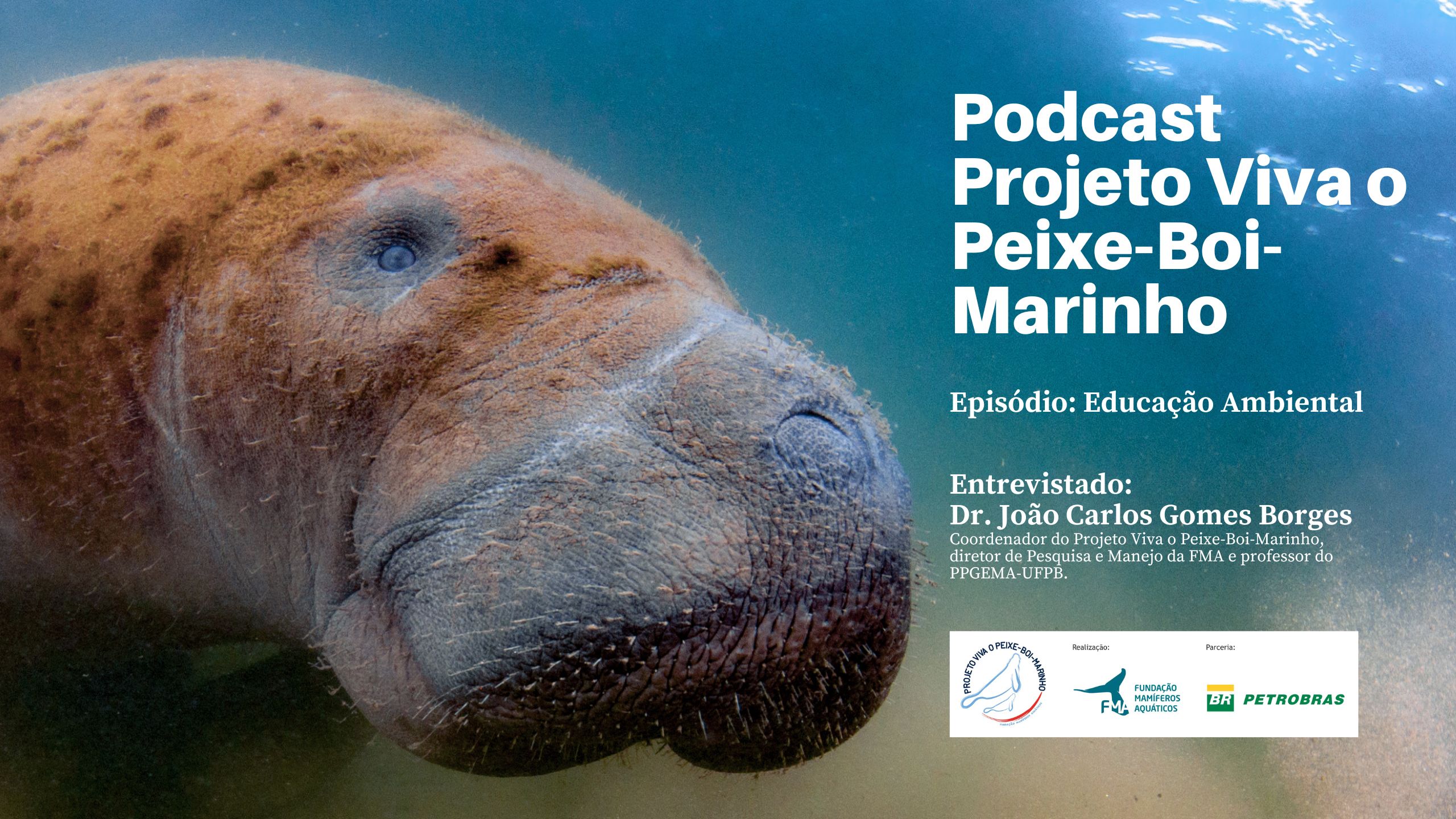 capa de Podcast Viva o Peixe-Boi-Marinho: Episódio 5 - Educação Ambiental