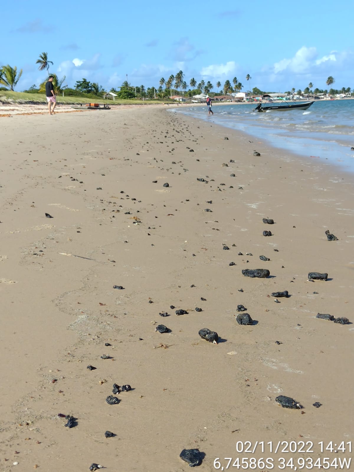 Imagem 2 de Fragmentos de óleo aparecem no litoral norte da Paraíba, local de ocorrência de peixes-bois-marinhos