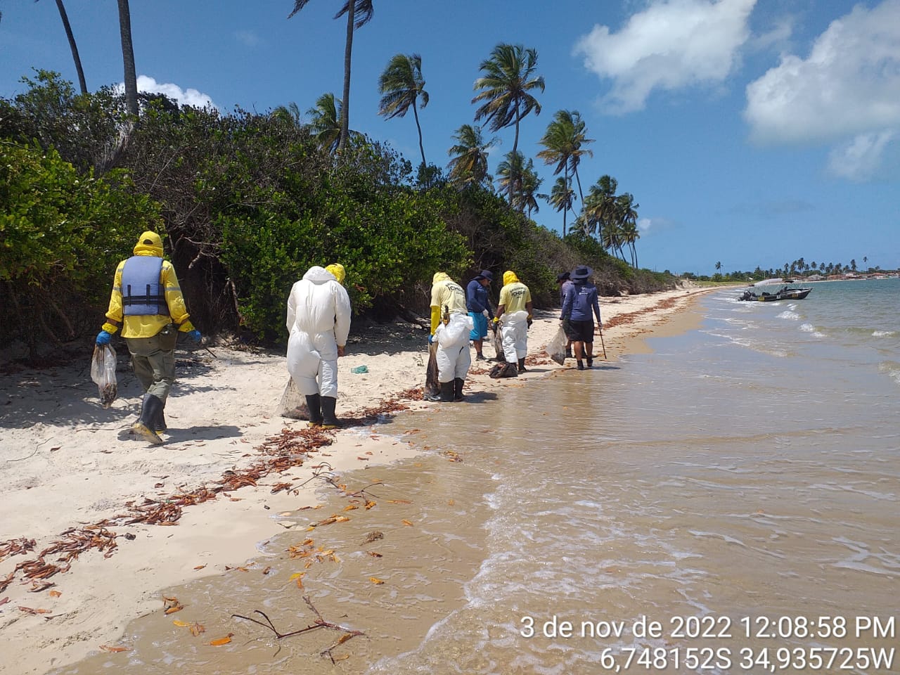 Imagem 11 de Fragmentos de óleo aparecem no litoral norte da Paraíba, local de ocorrência de peixes-bois-marinhos