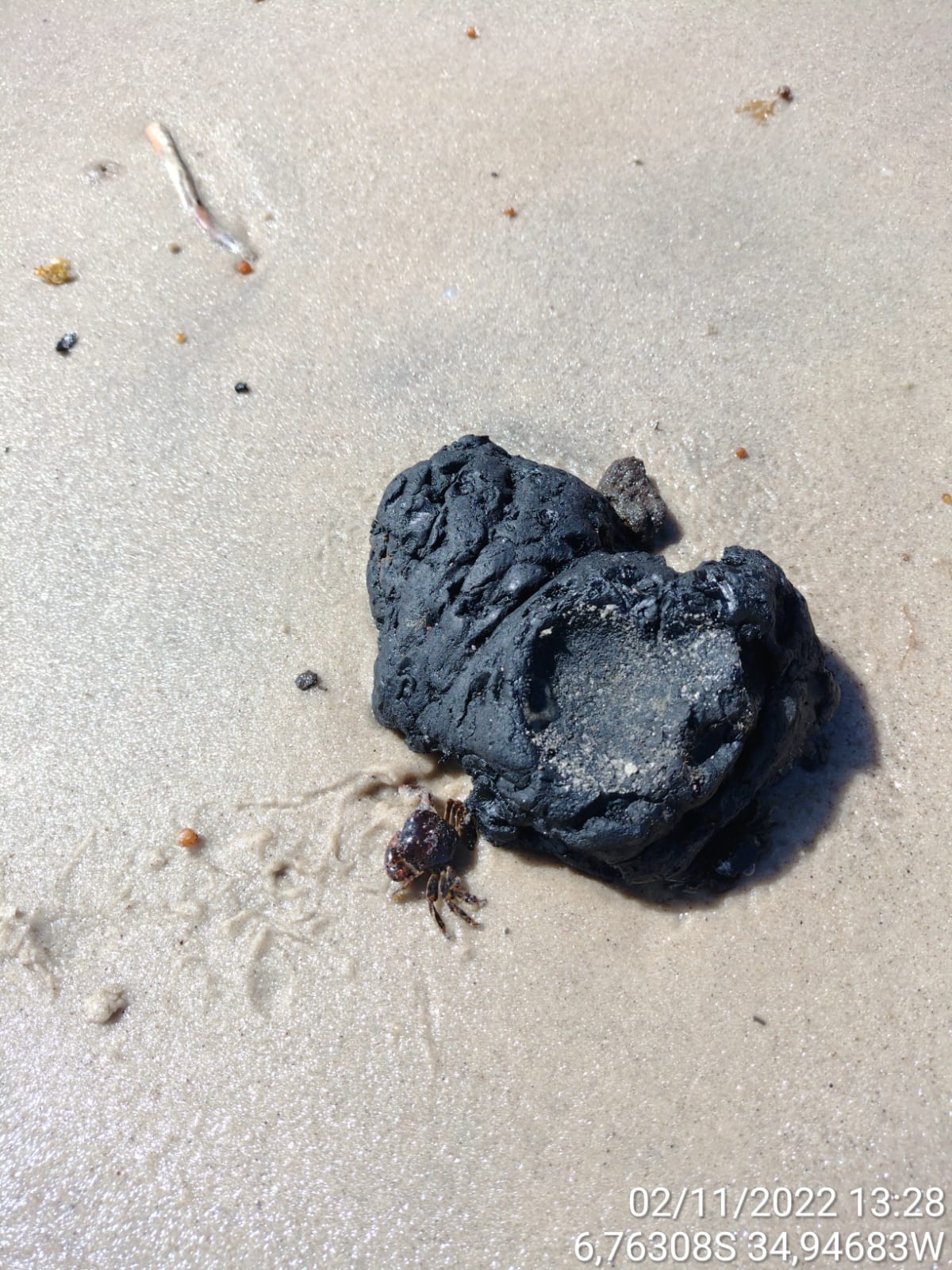 Imagem 5 de Fragmentos de óleo aparecem no litoral norte da Paraíba, local de ocorrência de peixes-bois-marinhos