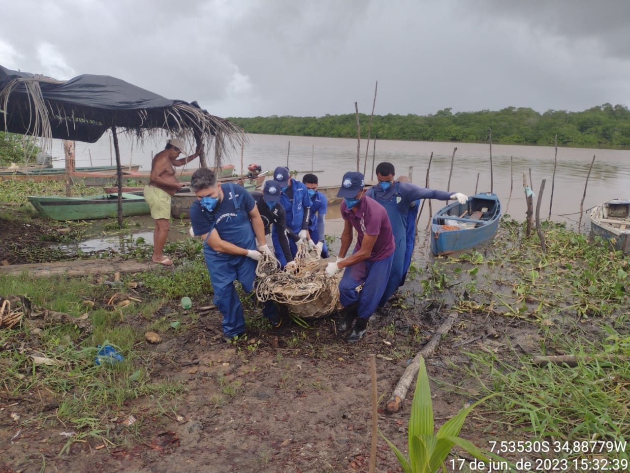 Imagem 2 de Duas fêmeas de peixe-boi-marinho foram encontradas mortas no litoral sul da Paraíba